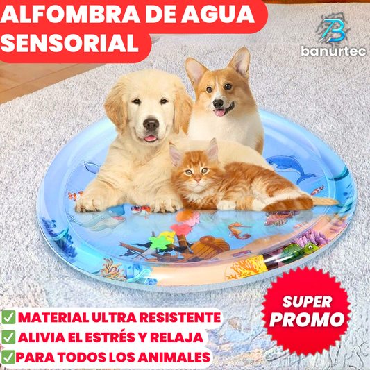 AquaPlay®️| Diversión para tu mascota