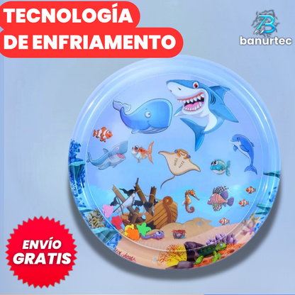 AquaPlay®️| Diversión para tu mascota