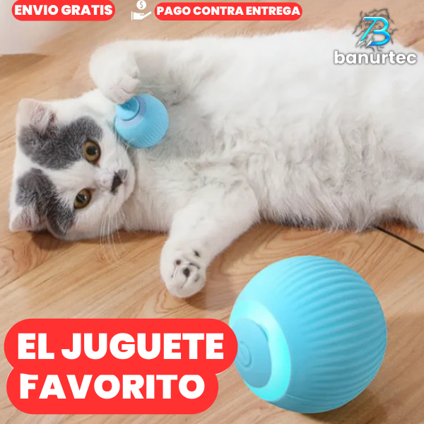 PELOTA INTERACTIVA RECARGABLE PARA GATOS